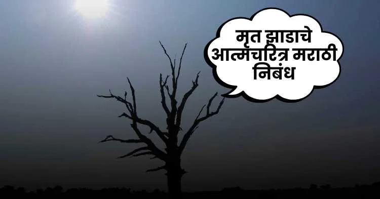 मृत झाडाचे आत्मचरित्र मराठी निबंध | Dead tree's autobiography marathi essay