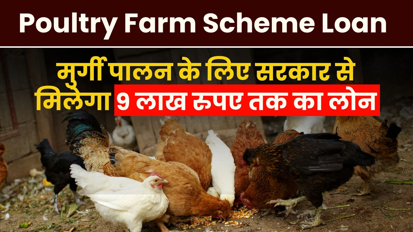 Poultry Farm Scheme Loan 2025: मुर्गी पालन के लिए सरकार से मिलेगा 9 लाख रुपए तक का लोन.. ऐसे करें ऑनलाइन आवेदन