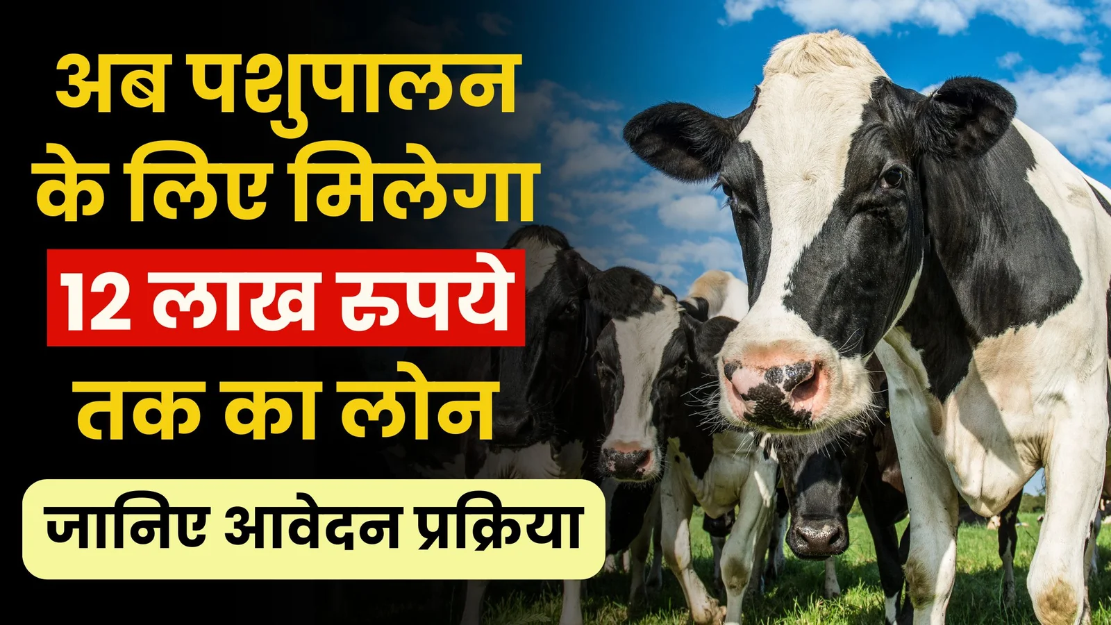 Pashupalan Yojana 2025: अब पशुपालन के लिए मिलेगा 12 लाख रुपये तक का लोन, जानिए आवेदन प्रक्रिया