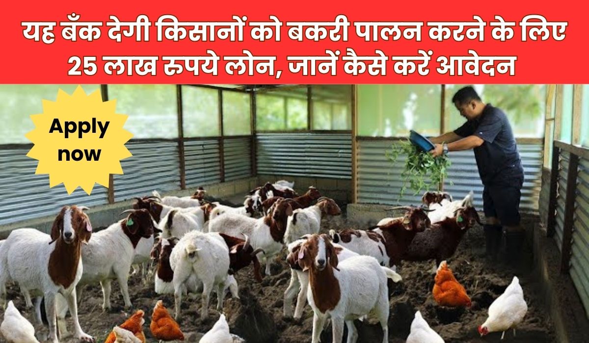 Goat Farming Loan 2025: यह बँक देगी किसानों को बकरी पालन करने के लिए 25 लाख रुपये लोन, जानें कैसे करें आवेदन 