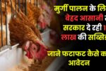 Poultry Farming Yojana 2025: मुर्गी पालन के लिए बेहद आसानी से सरकार दे रही 10 लाख की सब्सिडी, जाने फटाफट कैसे करें आवेदन